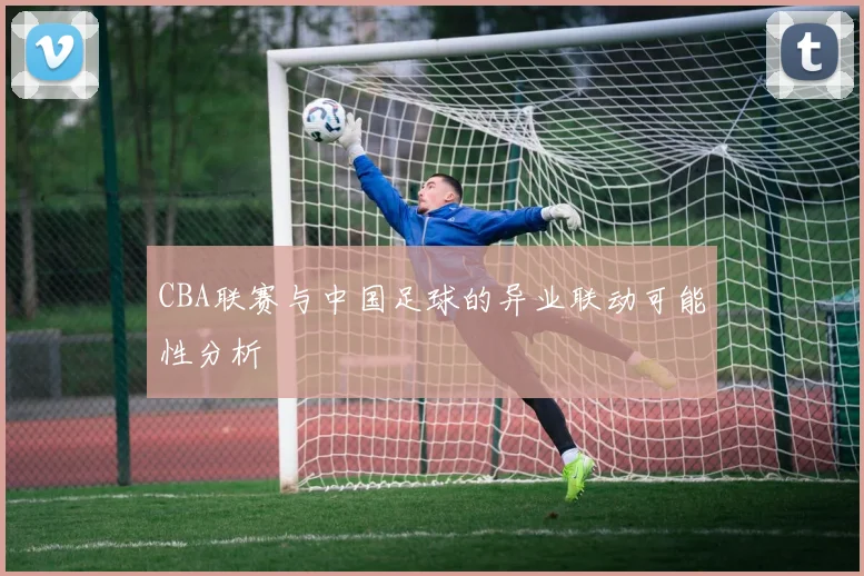 CBA联赛与中国足球的异业联动可能性分析